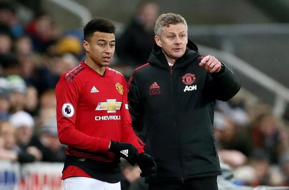 为提升排名 为提升排名