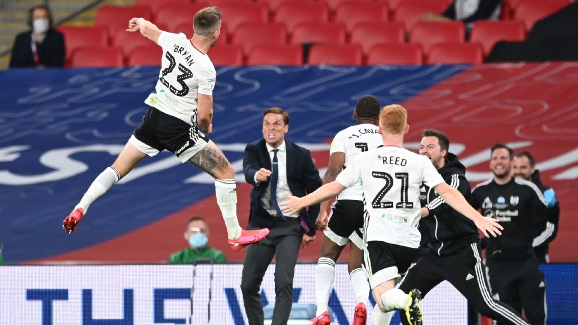 稳定性和强 稳定性和强